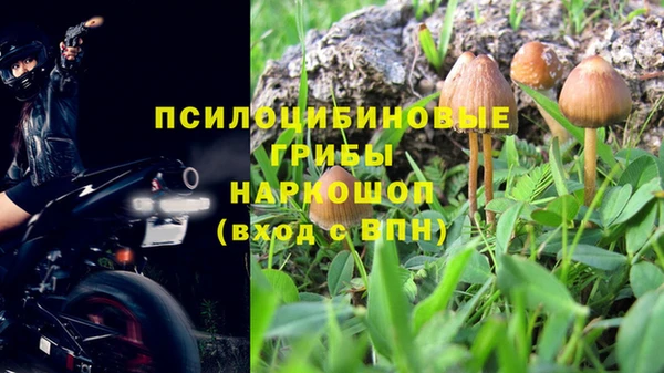 кокс Абдулино