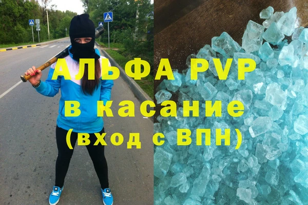 хмурый Абаза