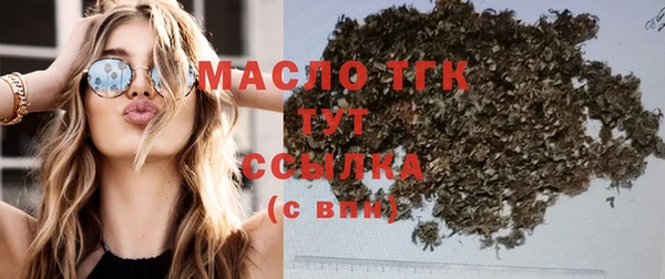 хмурый Абаза