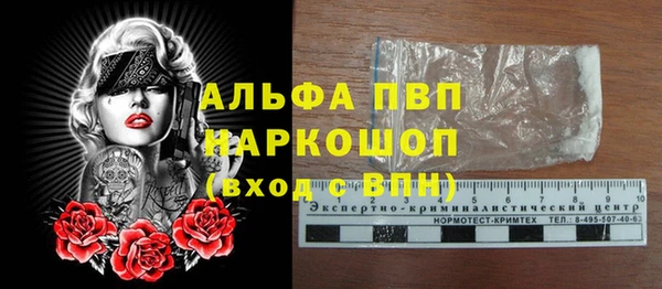 хмурый Абаза