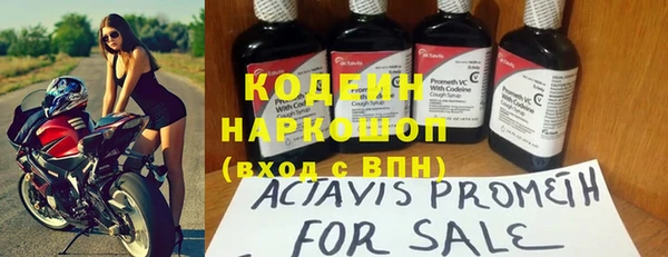 хмурый Абаза