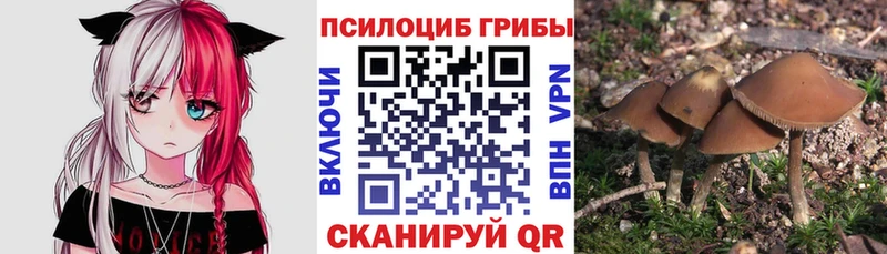 Галлюциногенные грибы Magic Shrooms Комсомольск-на-Амуре