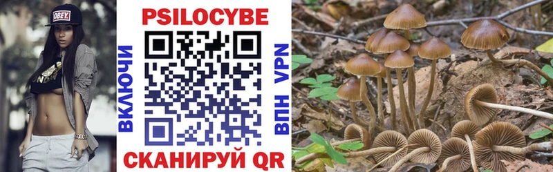 ссылка на мегу ТОР  хочу   Комсомольск-на-Амуре  Псилоцибиновые грибы Cubensis 