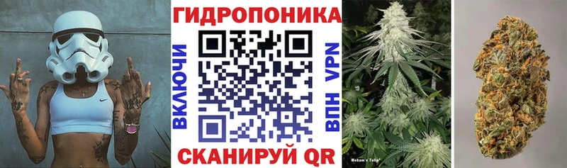МЕГА tor  Комсомольск-на-Амуре  Шишки марихуана конопля  купить  сайты 